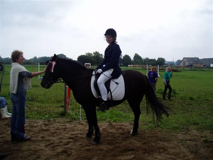 Anden særlig race Mirka Belinda R.I.P billede 11