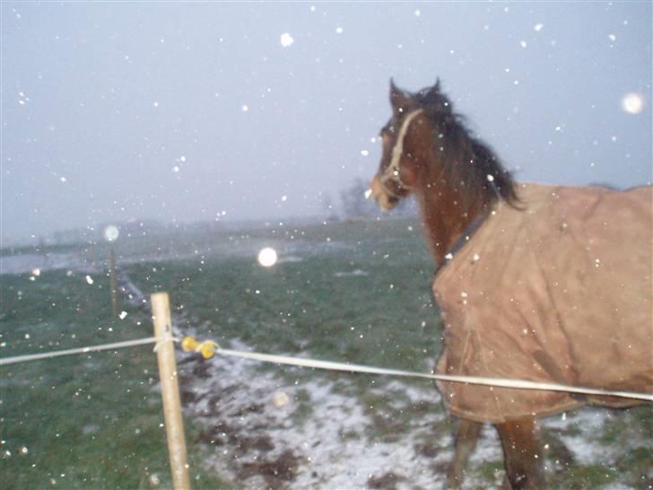 Traver By Densi Print  - By Densi i snevejr billede 9