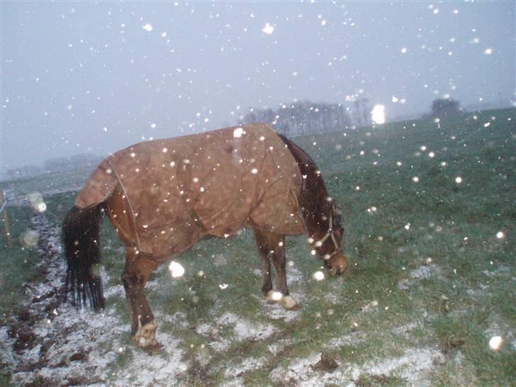 Traver By Densi Print  - Igen ;) billede 10