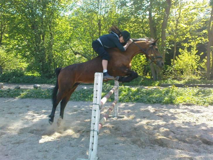 Anden særlig race Flying Mizty - [taget af den fantastiske og fenomenale Suzanne] billede 18