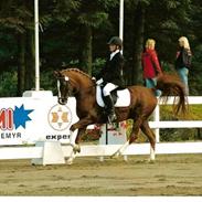 Arabisk fuldblod (OX) Maldini<3verdens beste<33