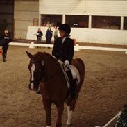 Arabisk fuldblod (OX) Maldini<3verdens beste<33