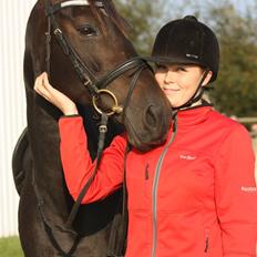 Trakehner  - Jamaica III - 