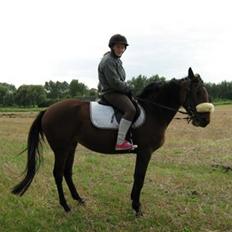 Traver Little Dreams (Dreamy) 