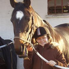 Dansk Varmblod Dia-Lex