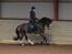 Tysk Sportspony Farbenfroh - 4 år :-) min lille baby<3