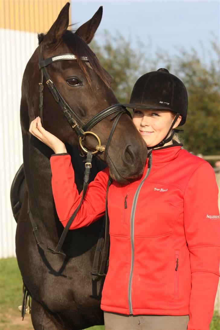 Trakehner  - Jamaica III -  - Jamaica og jeg - Billede af Jørgen billede 1