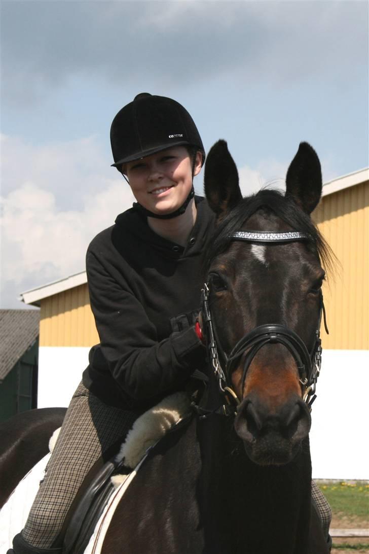 Trakehner  - Jamaica III -  - Mig og Maica - Foto: Tine billede 7