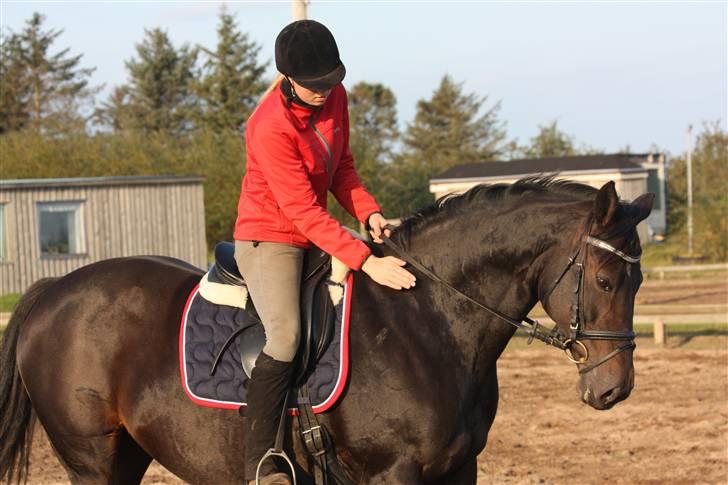 Trakehner  - Jamaica III -  - Jamaica og Jeg :) billede 9