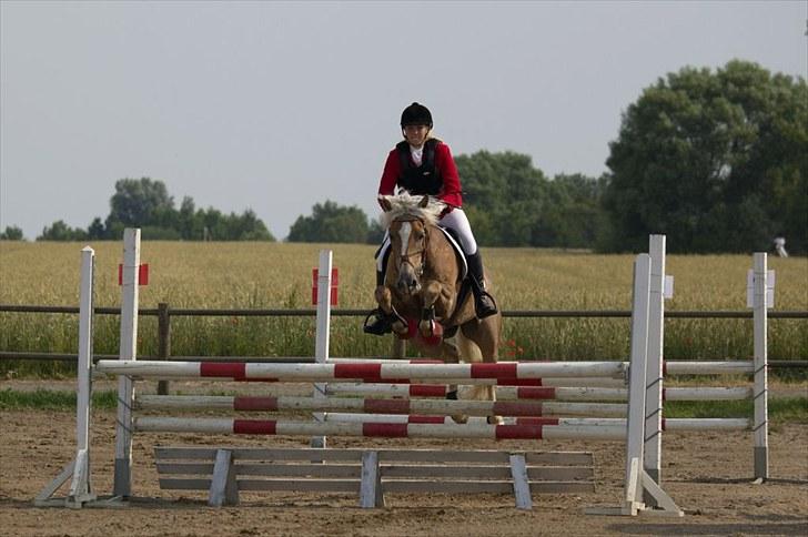 Haflinger Reja - Reja D5 mesterskab military 2010 cnc100 foto: fuzz billede 12