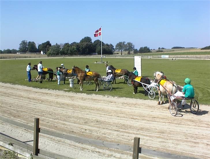 Gotlandsruss Gee ¤R.I.P¤ - Præmieoverrækkelse billede 7