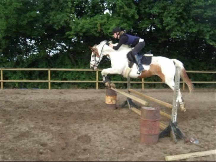 Anden særlig race Camelot <3 *passer* (: billede 11