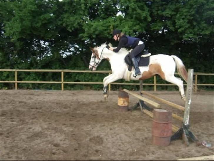 Anden særlig race Camelot <3 *passer* (: billede 12