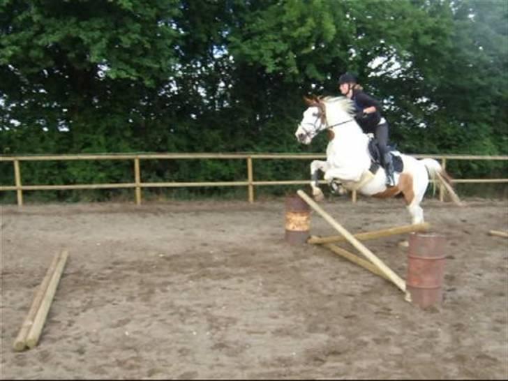 Anden særlig race Camelot <3 *passer* (: billede 14