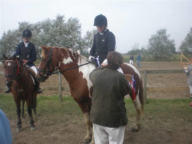 Anden særlig race Samson - Præmieoverrekkelse. ! ! Igen. ? billede 12