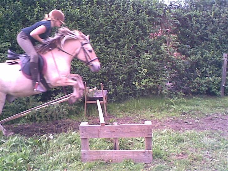 Anden særlig race Bouli *Solgt* - Hoppede for tidligt <3 billede 16