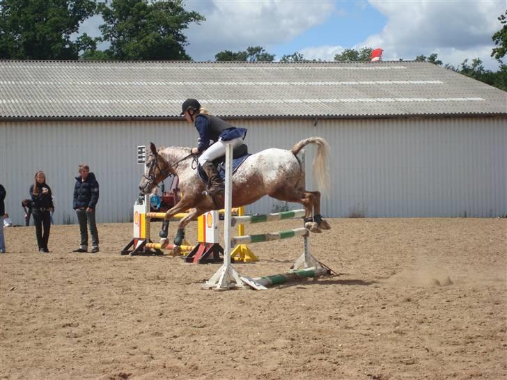 Anden særlig race Jolly Jumper *Gamle part* - Fra klubmesteskabet ! xD´ <3  billede 17