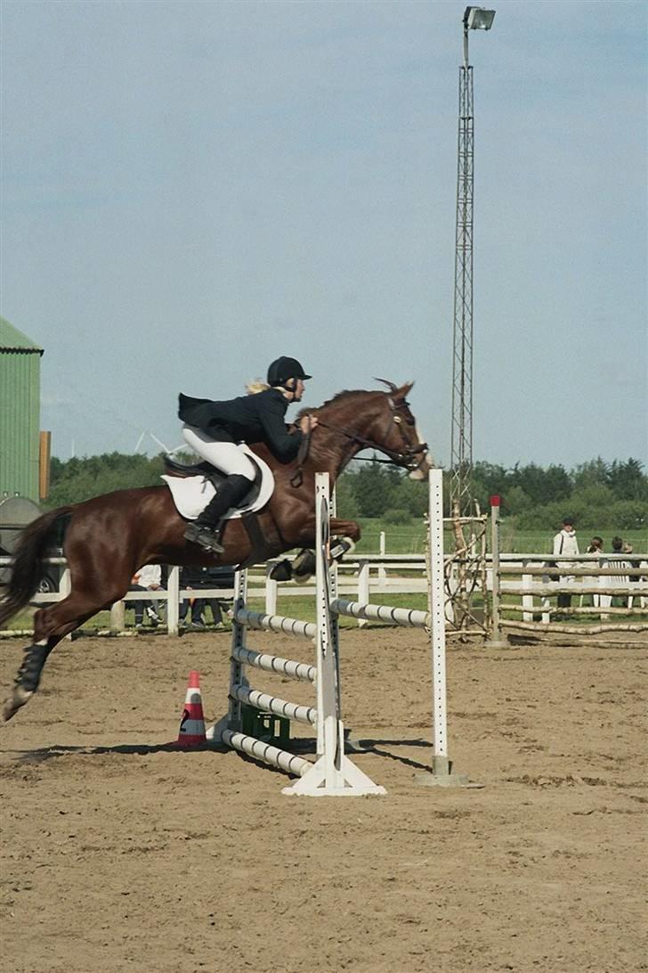 Anden særlig race Sahara - Til JMR-cup i maj 2007. billede 16