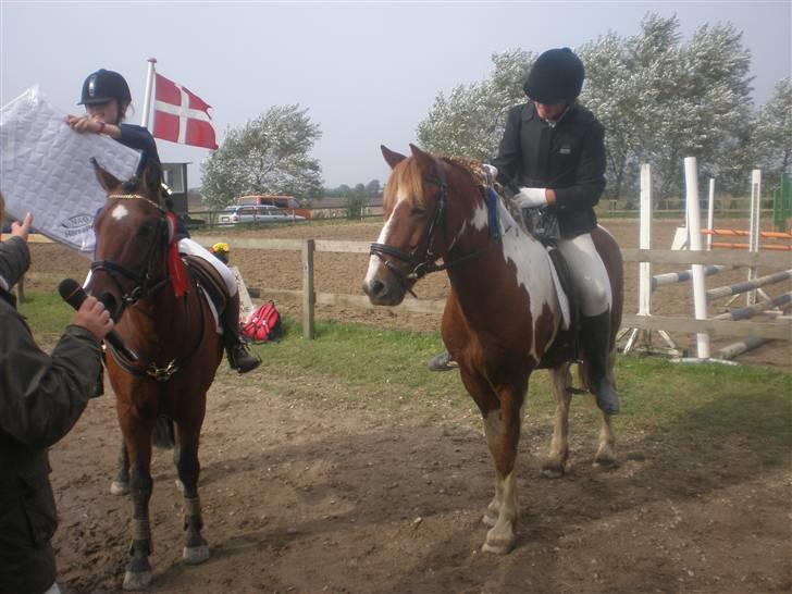 Anden særlig race Samson - Præmieoverrekkelse. ! ! Igen Igen.. Samson Er Meget intra. I Det Emma Og Lazlo Får. ! billede 13