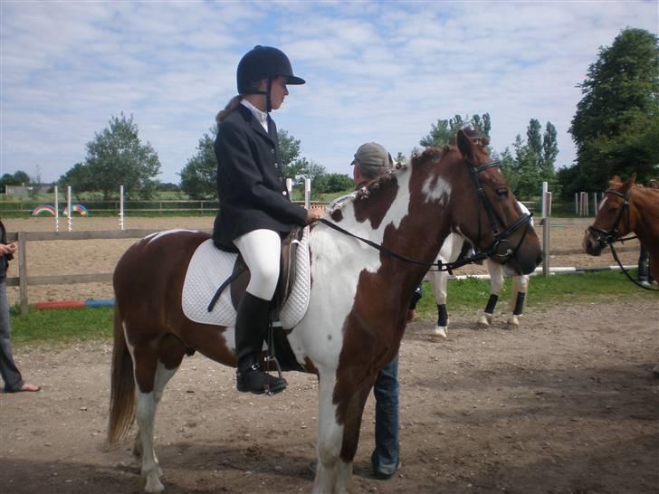 Anden særlig race Samson - RideskoleStævne. Venter på At jeg skal ride,. Ellers har jeg redet.  billede 14