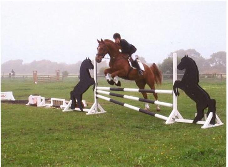 Dansk Varmblod Mølholms Ficko - Fitsko og Louise til stævne.. :) billede 6