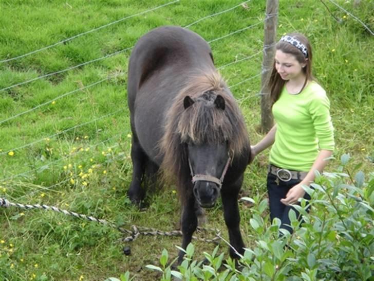 Færøsk hest Grettir [Haft i pleje] - Grettir og Maria x) "Er jeg ik sød?" =) (hos tidigere ejer Maria) | 29-07-2007 billede 9