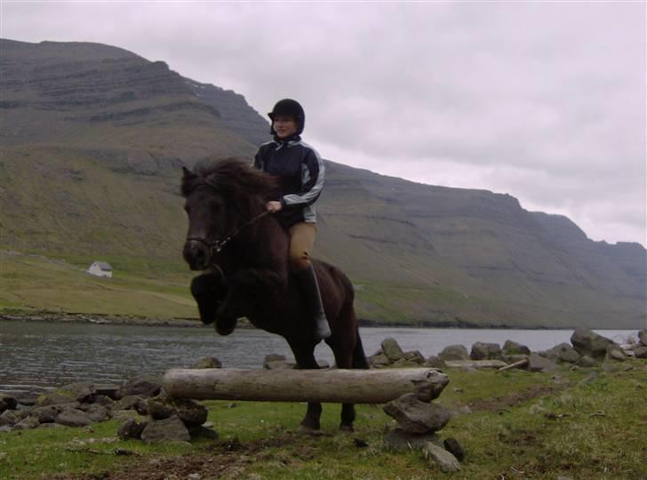 Færøsk hest Grettir [Haft i pleje] - Mig og Grettir springer :D | 27-05-2008 billede 16