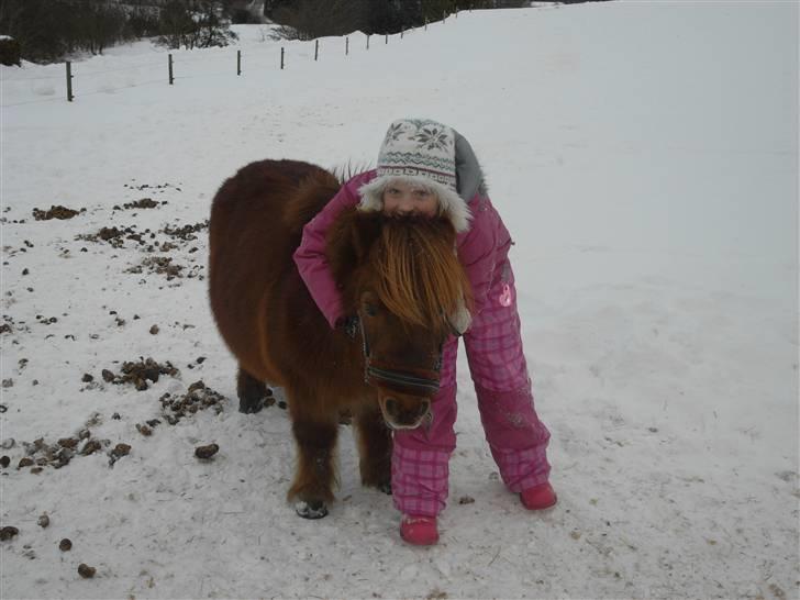 Shetlænder Rasmus - Camilla krammer Rasmus :D billede 2