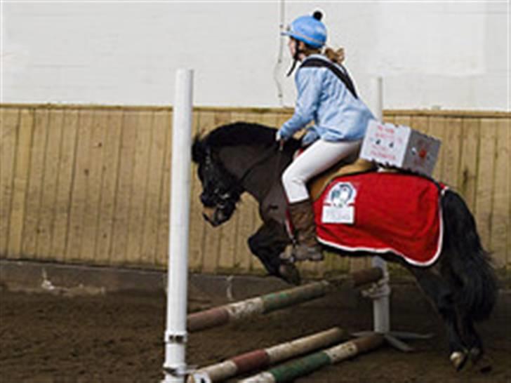 Anden særlig race spitco (SOLGT) - os til fastalave 60 cm vi har jeg har forkert dragt på billede 16