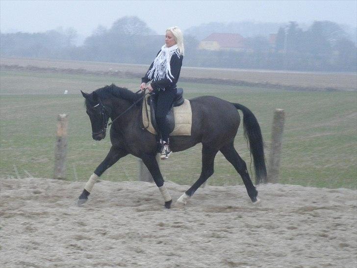 Anden særlig race Prince Charming SOLGT :'( - Vi leger model med Alex og G-boy billede 8