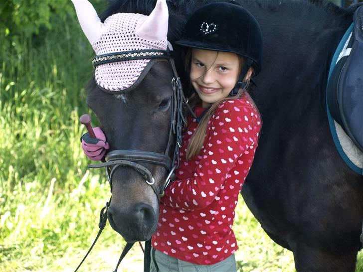 Anden særlig race Baily - Uldtot i sneen billede 1