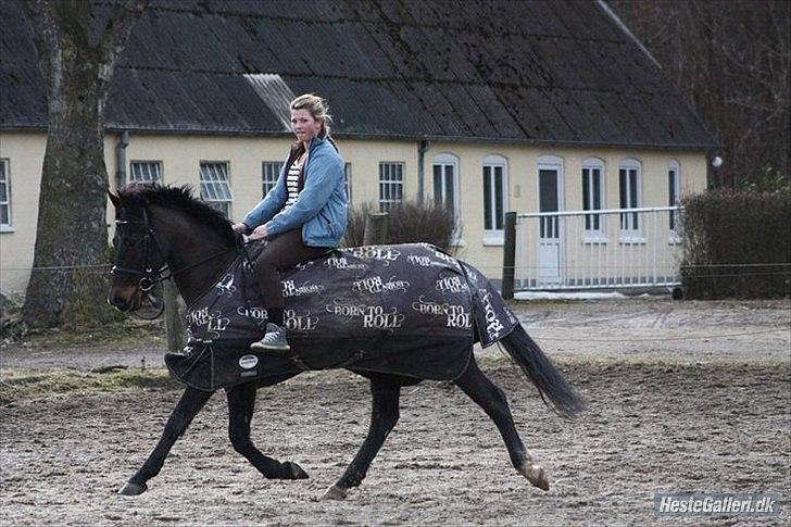 Anden særlig race Prince Charming SOLGT :'( - Prinnce og Michelle sammen igen.. :) billede 9