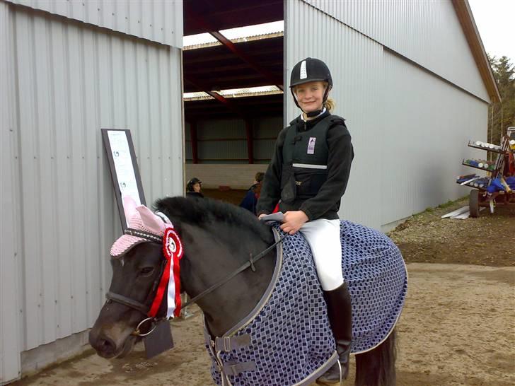 Anden særlig race Baily - 1. plads i Ringsted... juhuuuu billede 8