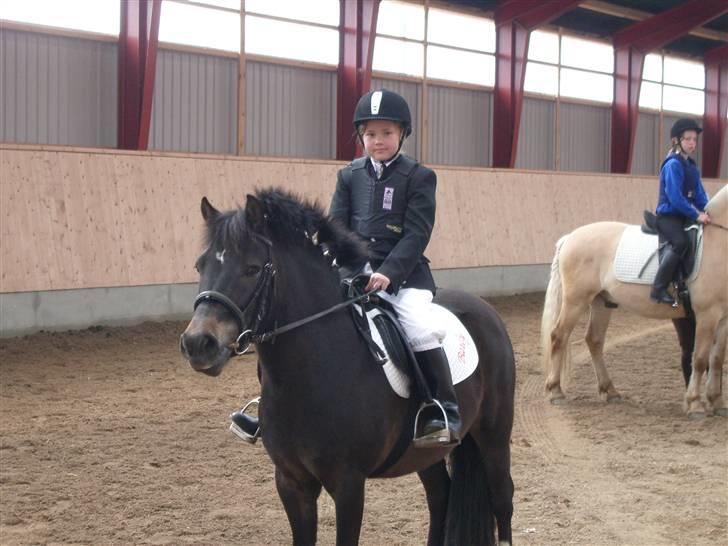 Anden særlig race Baily - Baily og Josefine til stævne på AAgerup billede 10