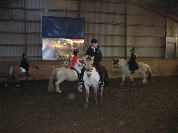 Welsh Pony (sec B) Låddenhøjs Zennia - Fastelavnsstævne - Februar 2008 - 3 plads i LC1 med 75% billede 5