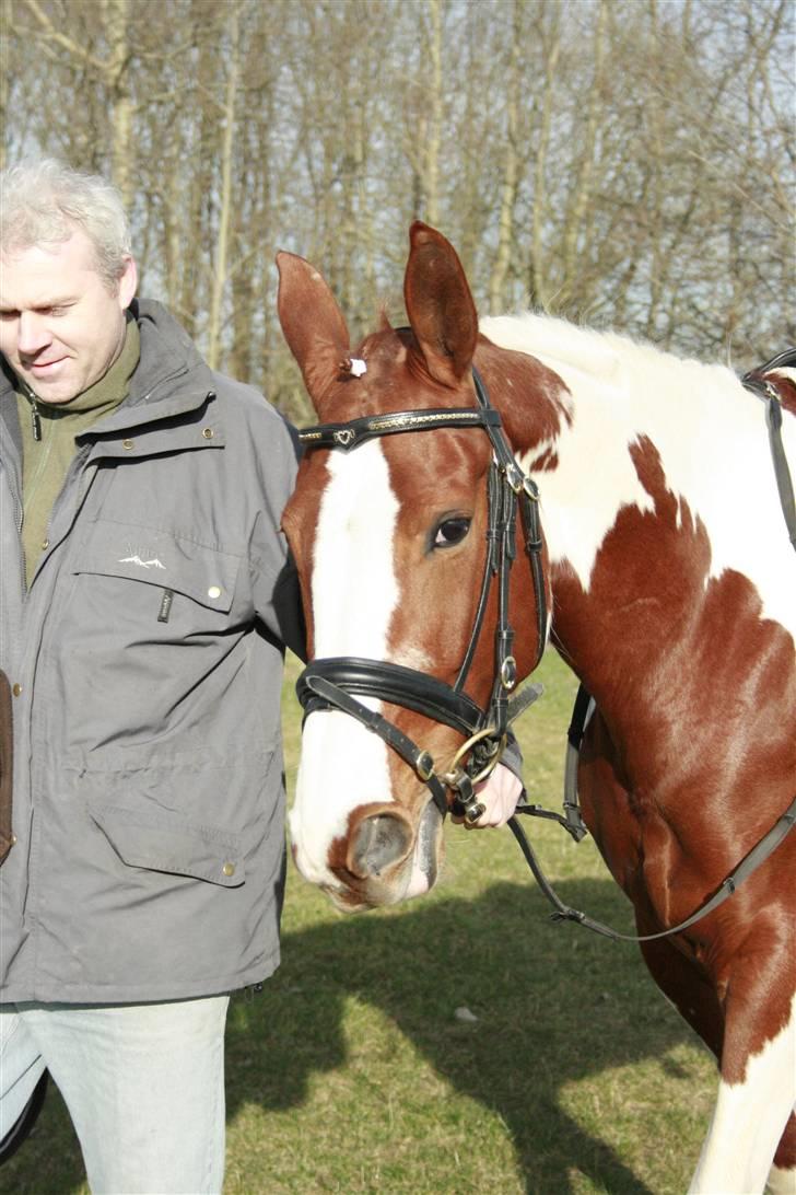 Pinto Shakira - Min far og Shakira billede 5