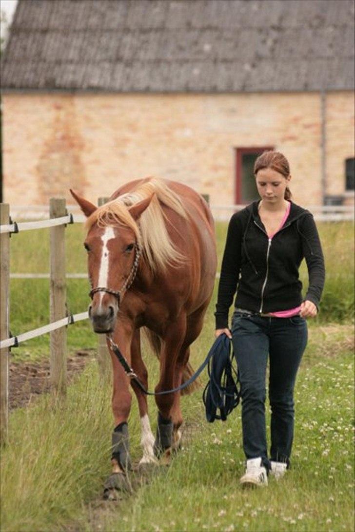 Traver Charmaine *mit alt* billede 17