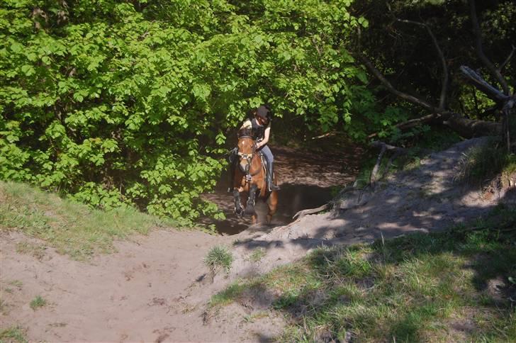 Anden særlig race Miss Flying Daisy - Daisy <´3 billede 17