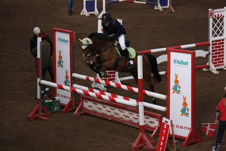 Anden særlig race Miss Flying Daisy - Bollerrideklub la :D billede 18