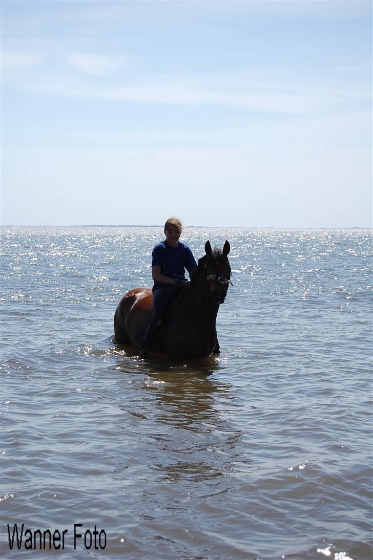 Anden særlig race Miss Flying Daisy - ude og bade med wanner<3 billede 19