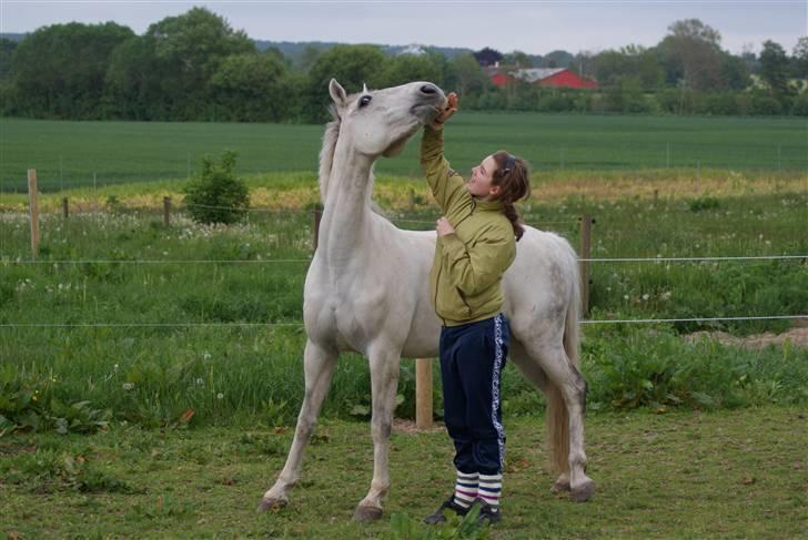 Anden særlig race Skovgaardens Ziwarco - Warco & jeg <3 billede 11