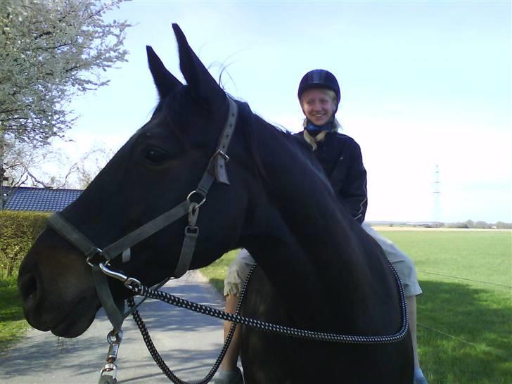 Oldenborg Møllevangs Rex (Rexe) billede 15