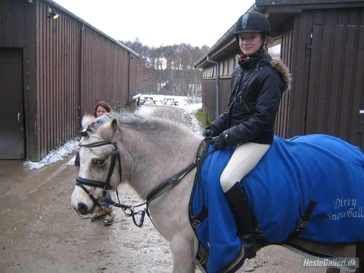 Anden særlig race ~Dirty snowball~ gl. part - hej og velkommen til snebolds profil kan i ikke lige smide en kommentar eller en bedømelse tak <3 billede 1