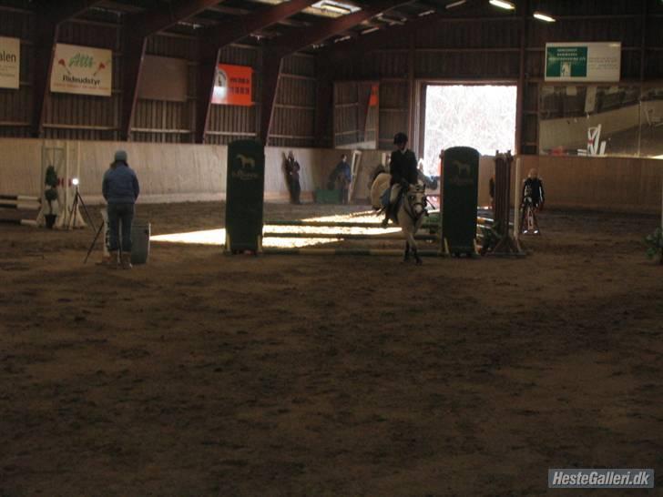 Anden særlig race ~Dirty snowball~ gl. part - nåår skaat <3   (taget af andrea) billede 6