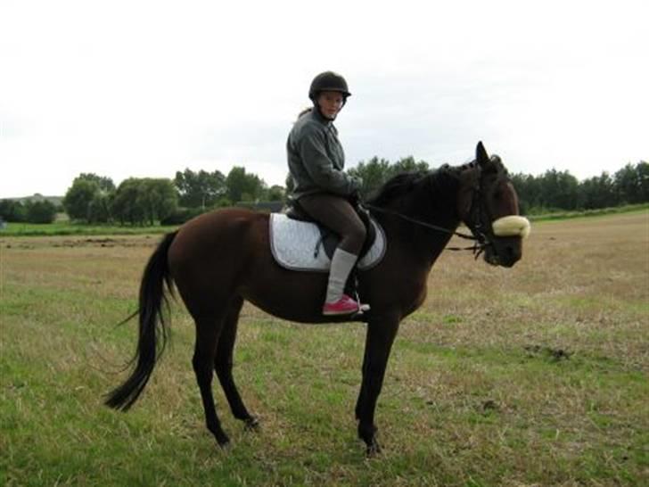 Traver Little Dreams (Dreamy)  billede 3