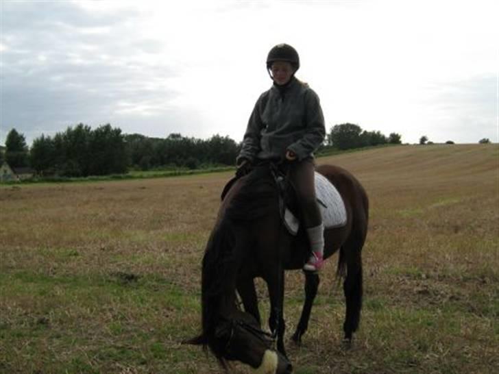 Traver Little Dreams (Dreamy)  billede 4