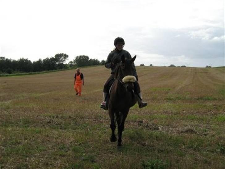 Traver Little Dreams (Dreamy)  billede 5