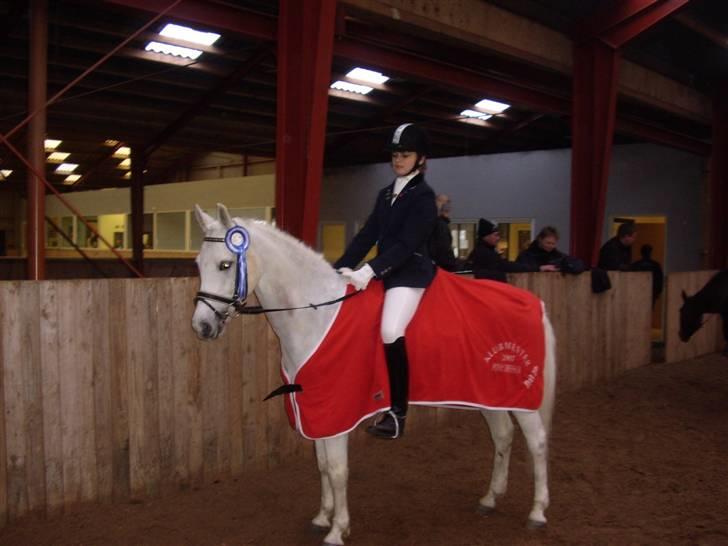 Anden særlig race David (tidl. pony) - Mit første C-stævne hvor jeg red LB 3 og fik 61 % er meget stolt. glad for at i kikkede forbi    billede 18