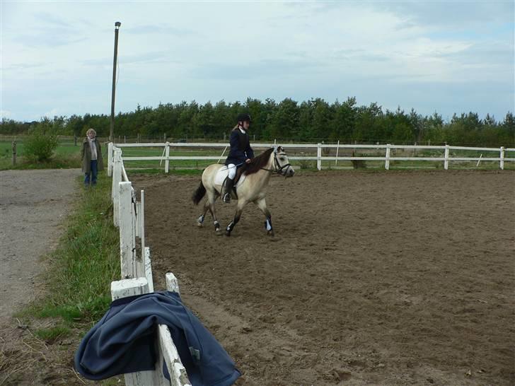 Anden særlig race ~Dirty snowball~ gl. part - uhhh.... elsker diiqh basse mand <3 du er bare for dejelig    (taget af min mor) billede 8