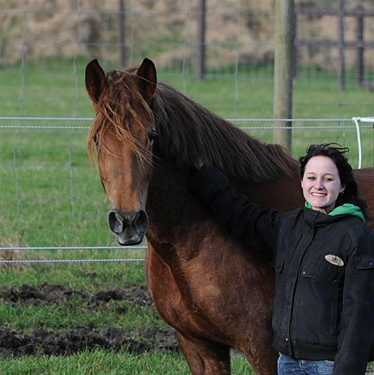 Anden særlig race MJ Mille SOLGT! - Taget den 3 Februar 2008 af Starfoto.dk billede 9